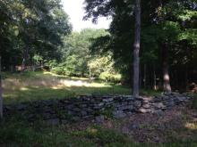 Stonewalls and meadows welcome visitors to Banningwood and provide structural diversity and habitat for a variety of flora and fauna. Photo Credit: Lisa Niccolai